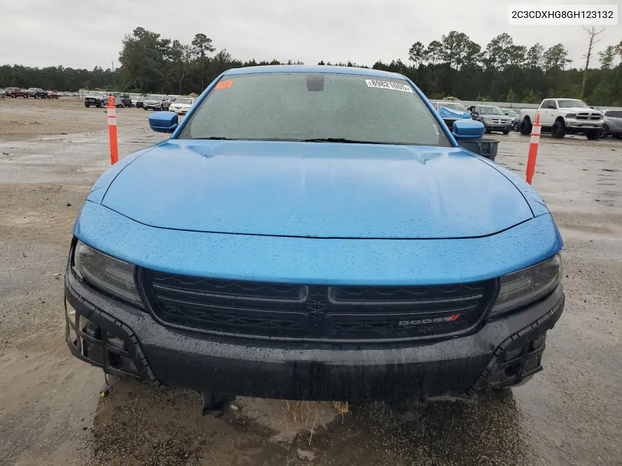 2C3CDXHG8GH123132 2016 Dodge Charger Sxt