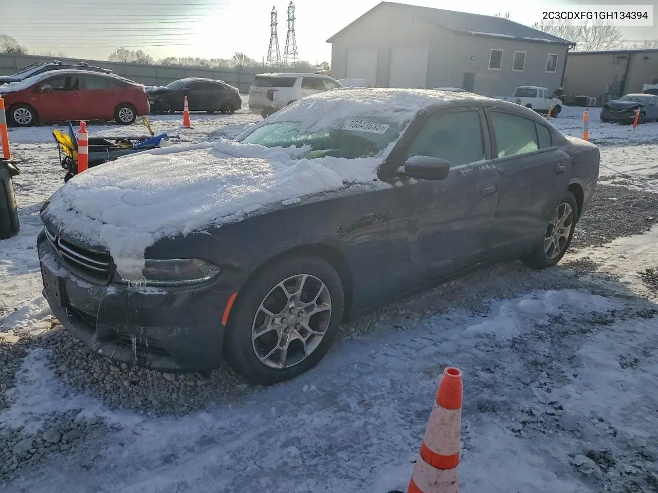 2C3CDXFG1GH134394 2016 Dodge Charger Se