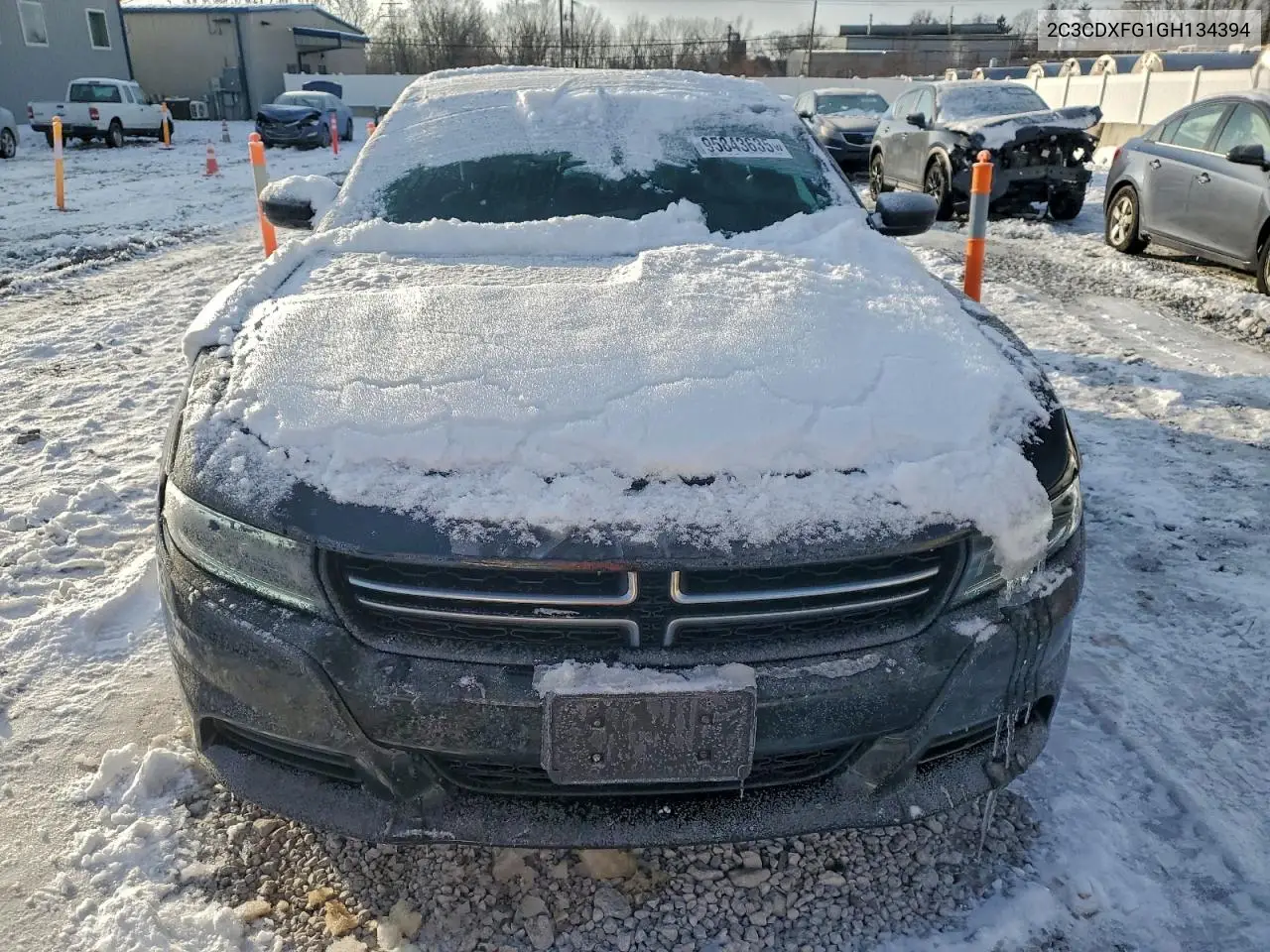 2C3CDXFG1GH134394 2016 Dodge Charger Se