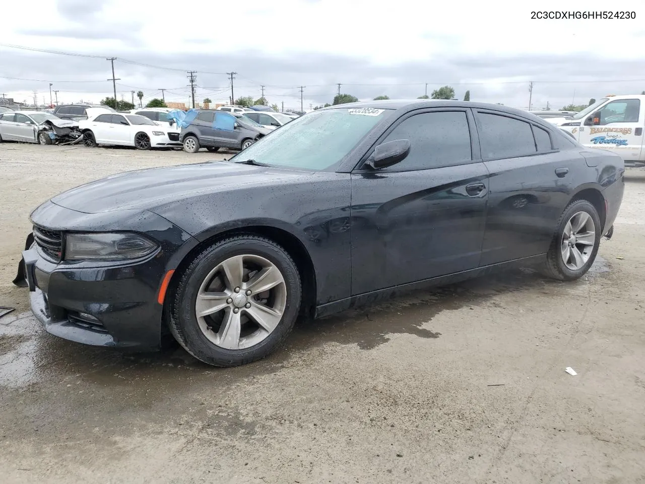 2017 Dodge Charger Sxt VIN: 2C3CDXHG6HH524230 Lot: 55328534