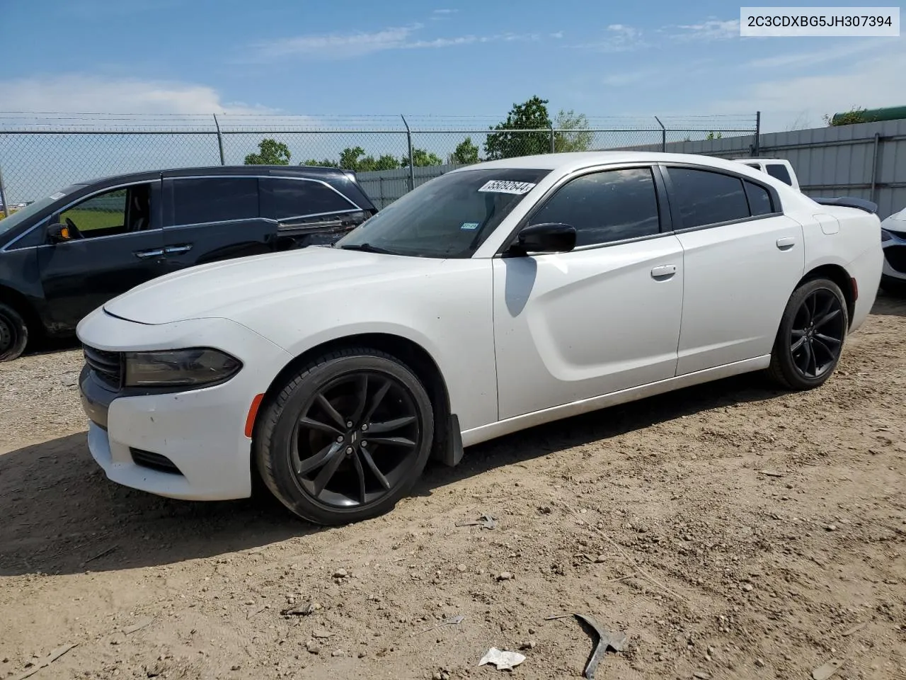 2C3CDXBG5JH307394 2018 Dodge Charger Sxt