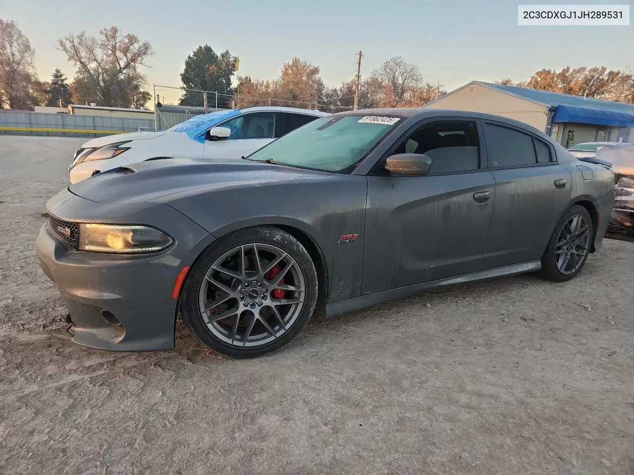 2C3CDXGJ1JH289531 2018 Dodge Charger R/T 392