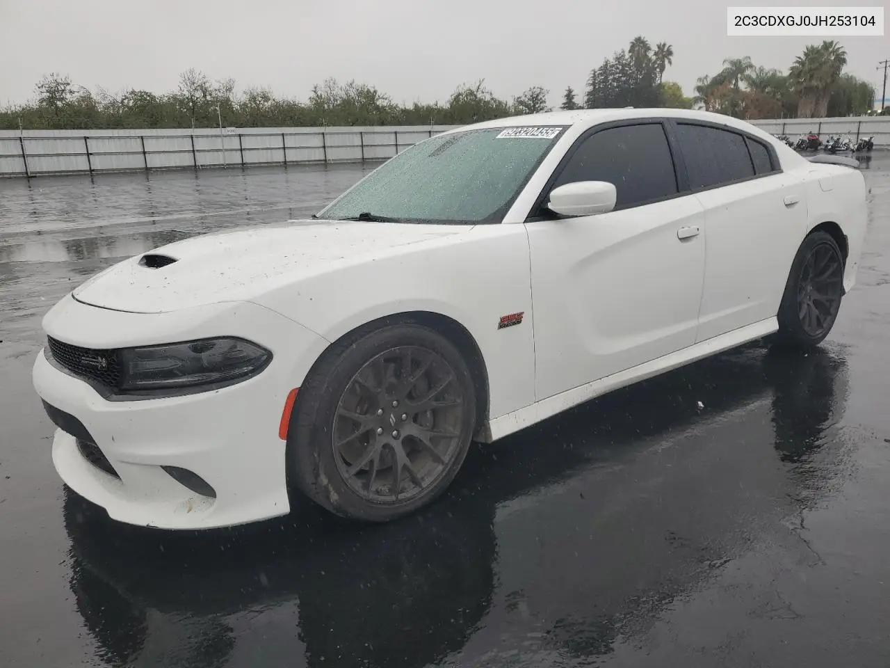 2C3CDXGJ0JH253104 2018 Dodge Charger R/T 392