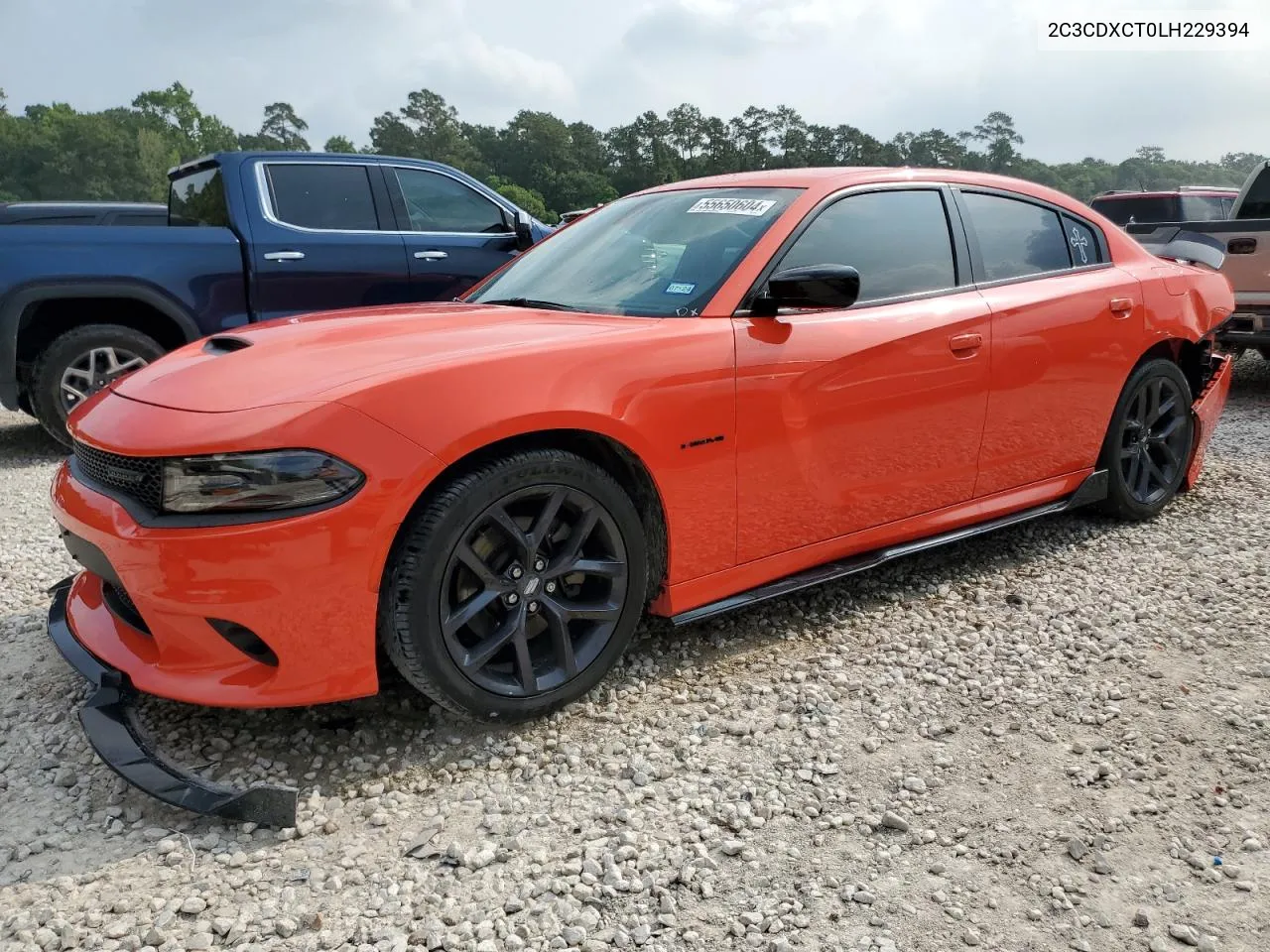 2020 Dodge Charger R/T VIN: 2C3CDXCT0LH229394 Lot: 55650604