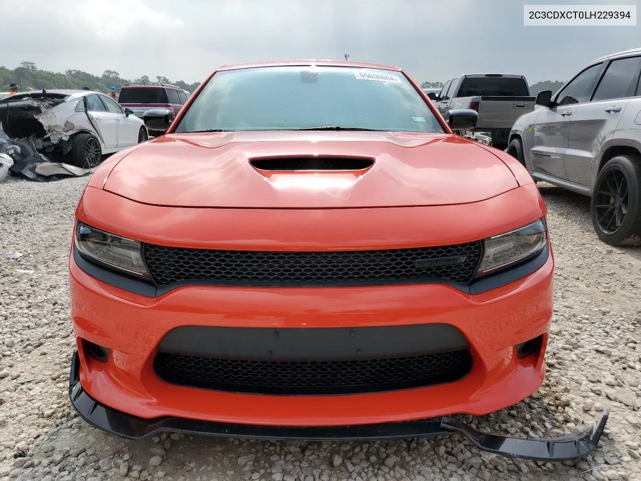 2020 Dodge Charger R/T VIN: 2C3CDXCT0LH229394 Lot: 55650604