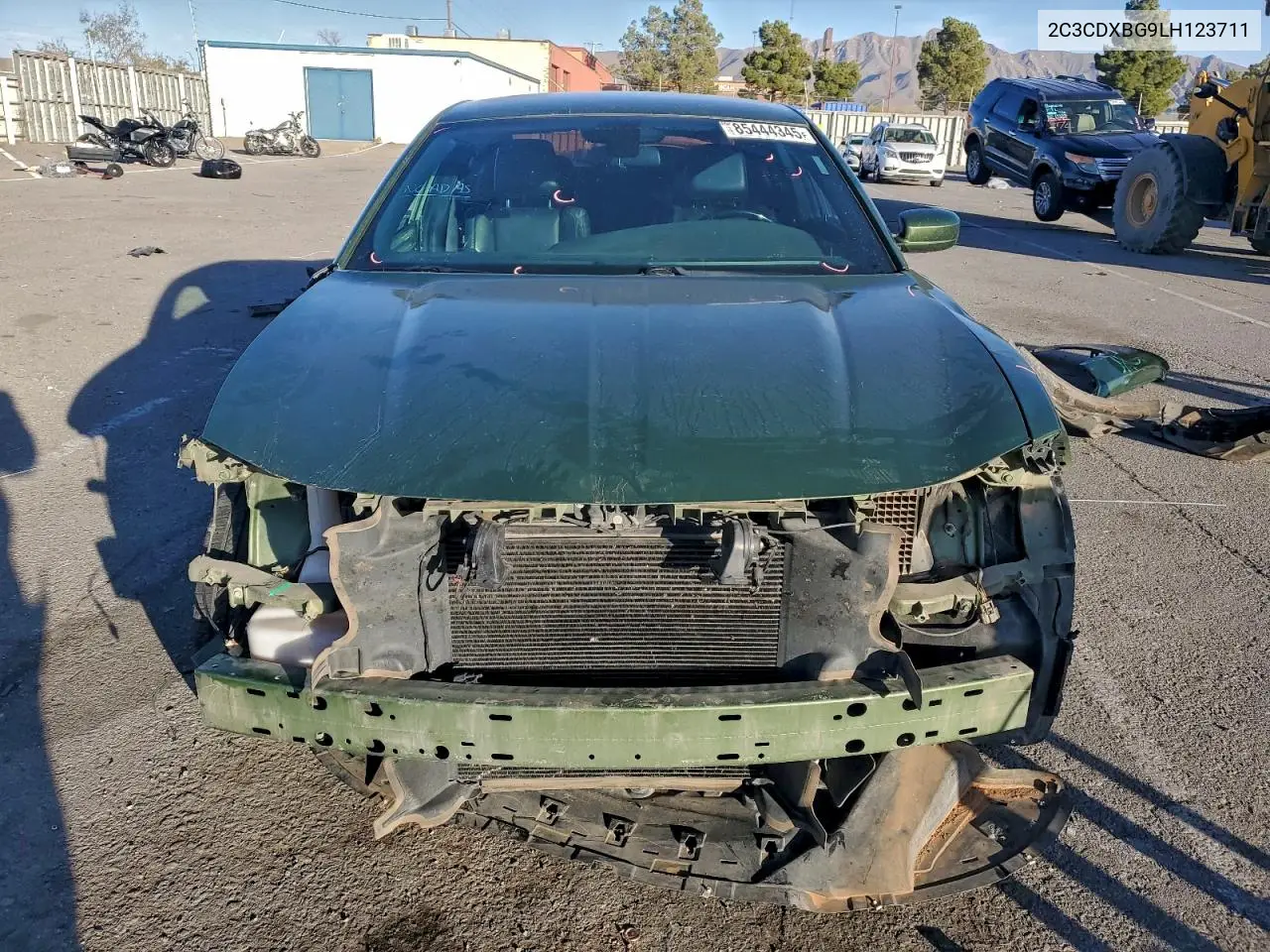 2C3CDXBG9LH123711 2020 Dodge Charger Sxt