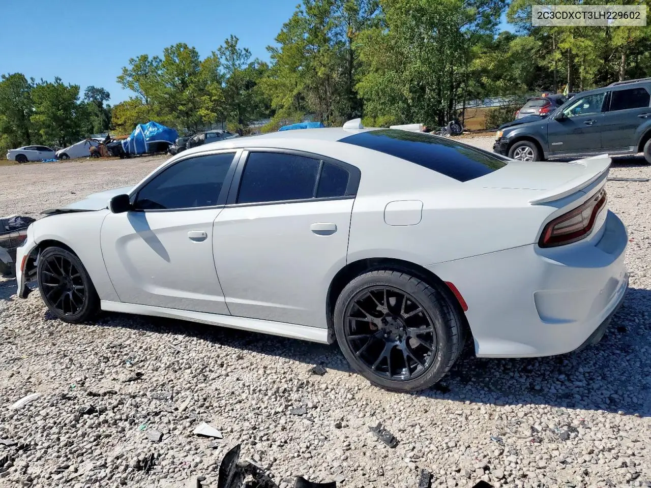 2C3CDXCT3LH229602 2020 Dodge Charger R/T