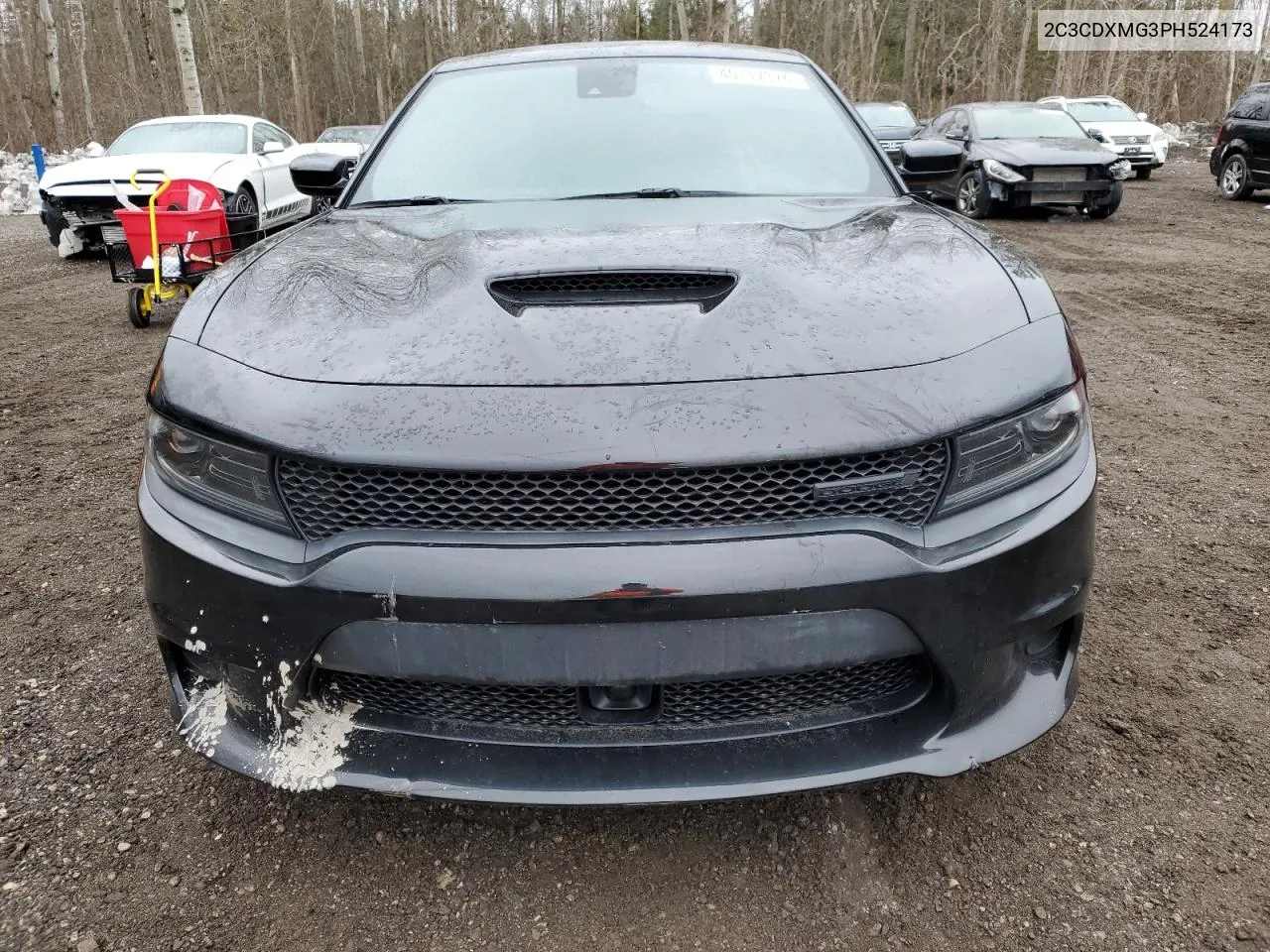 2023 Dodge Charger Gt VIN: 2C3CDXMG3PH524173 Lot: 40117374