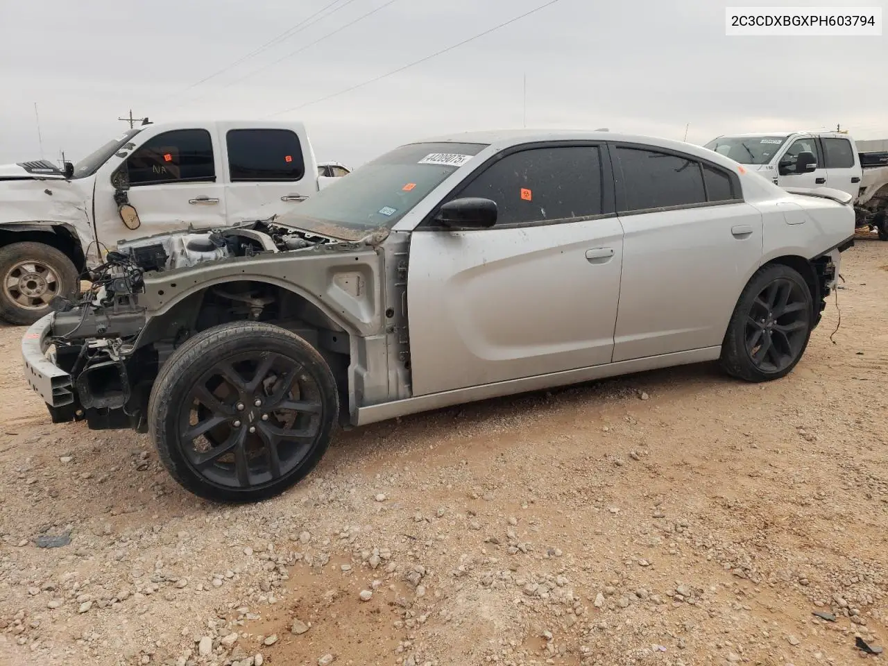 2C3CDXBGXPH603794 2023 Dodge Charger Sxt