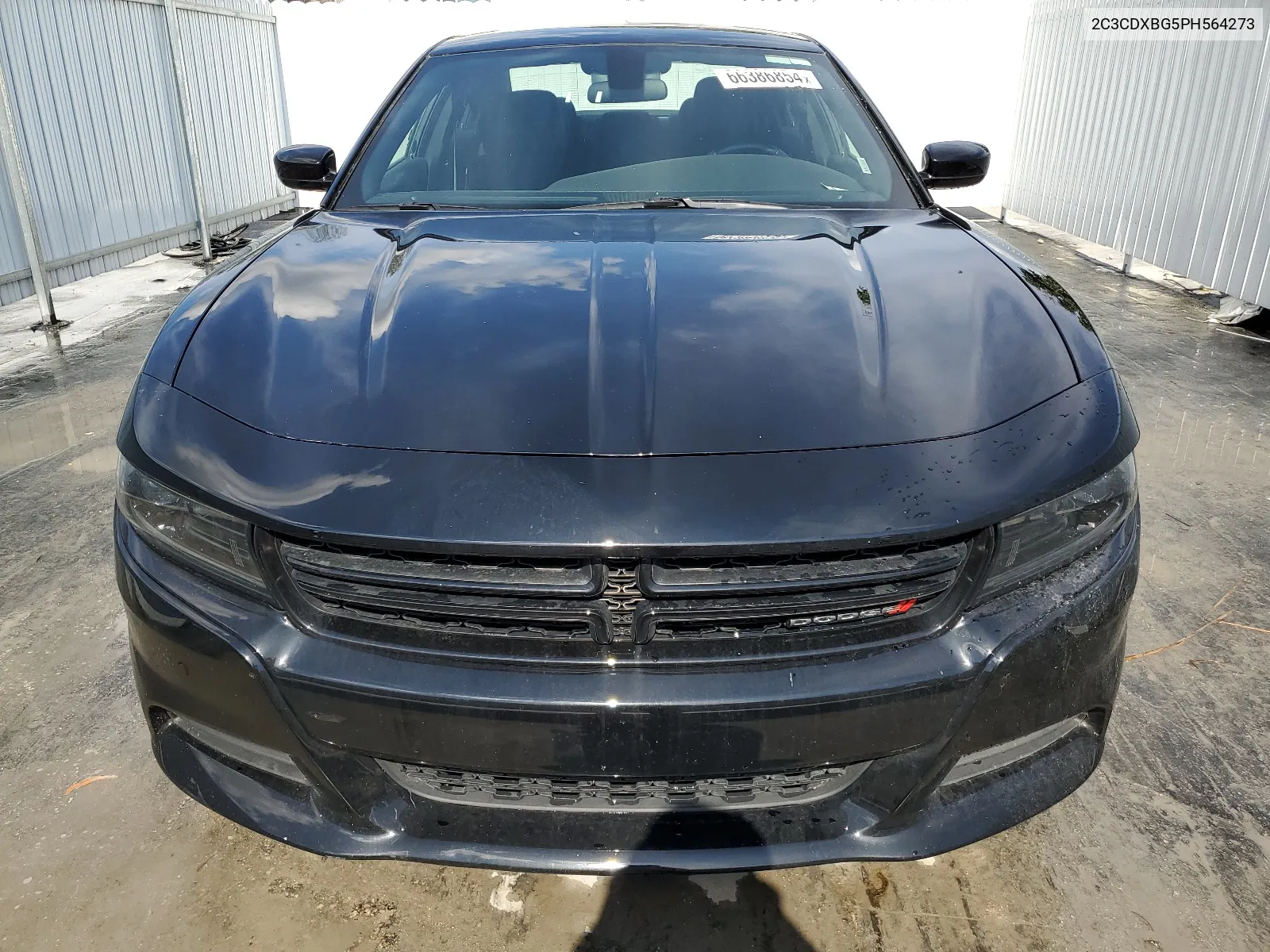 2C3CDXBG5PH564273 2023 Dodge Charger Sxt