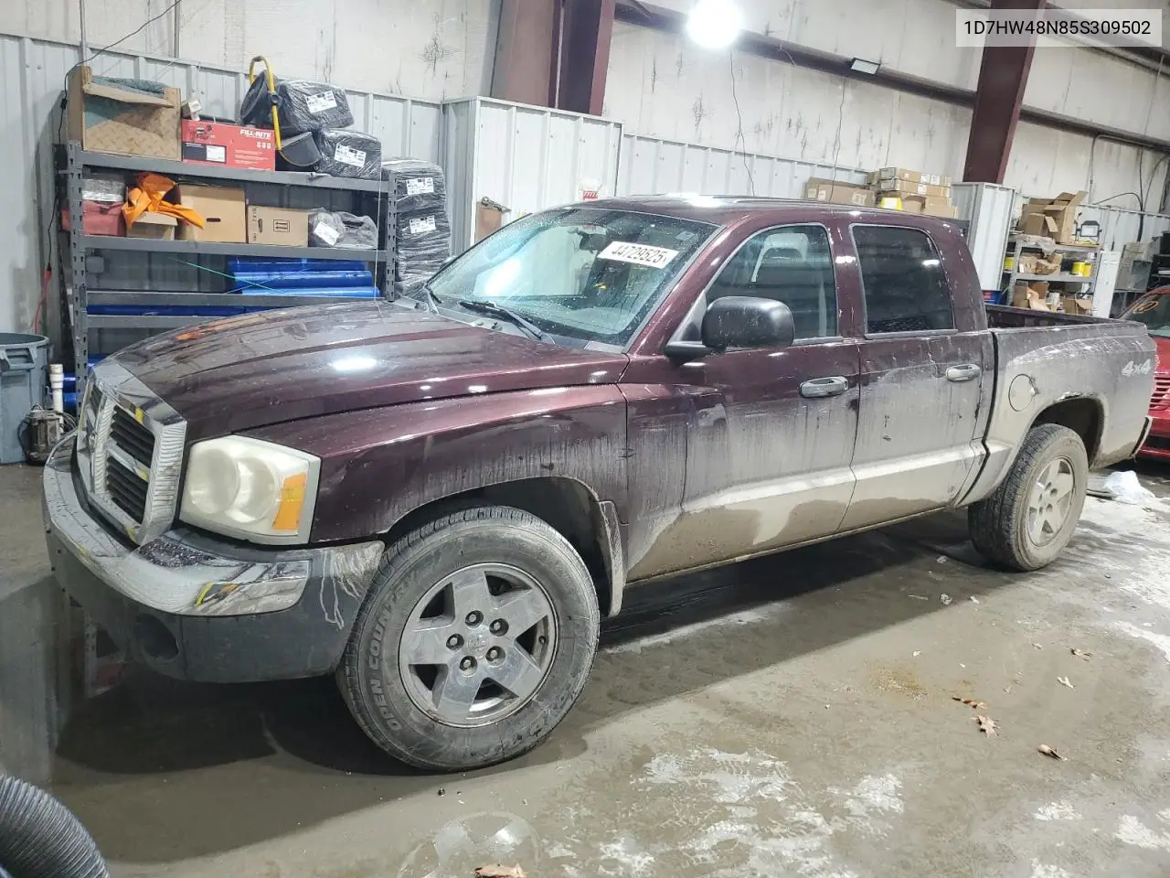 2005 Dodge Dakota Quad Slt VIN: 1D7HW48N85S309502 Lot: 44729525