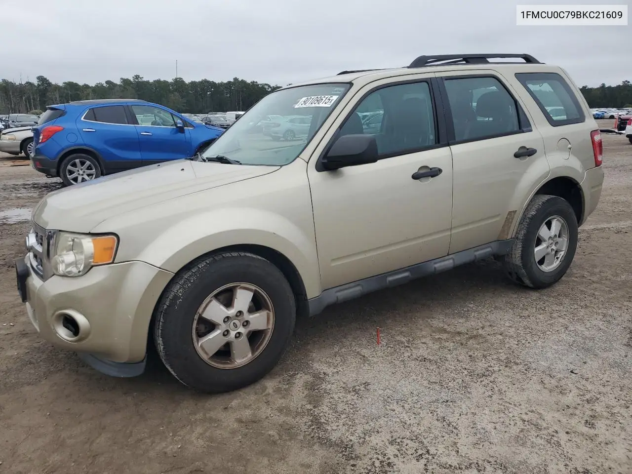 1FMCU0C79BKC21609 2011 Ford Escape Xls