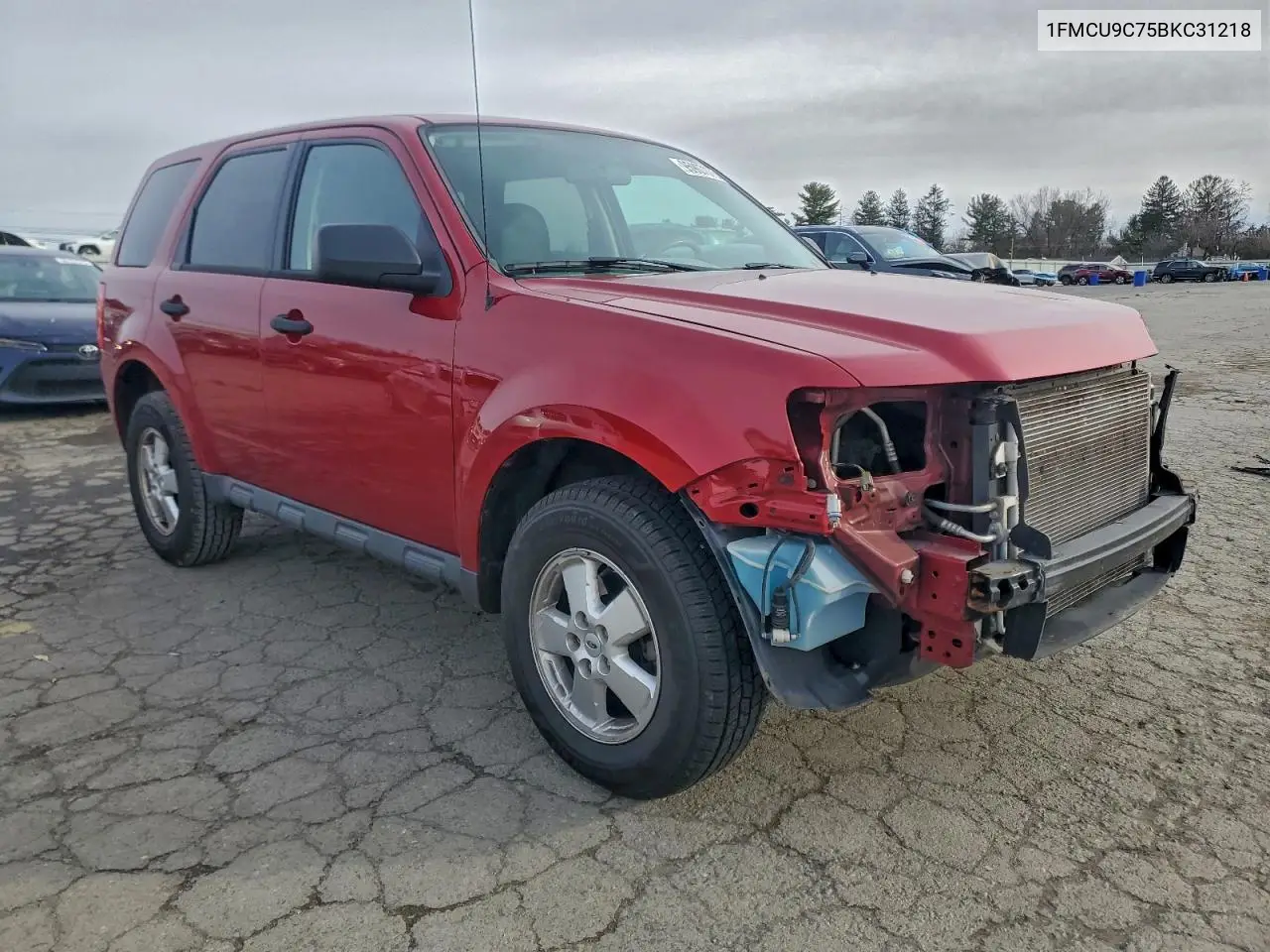 1FMCU9C75BKC31218 2011 Ford Escape Xls