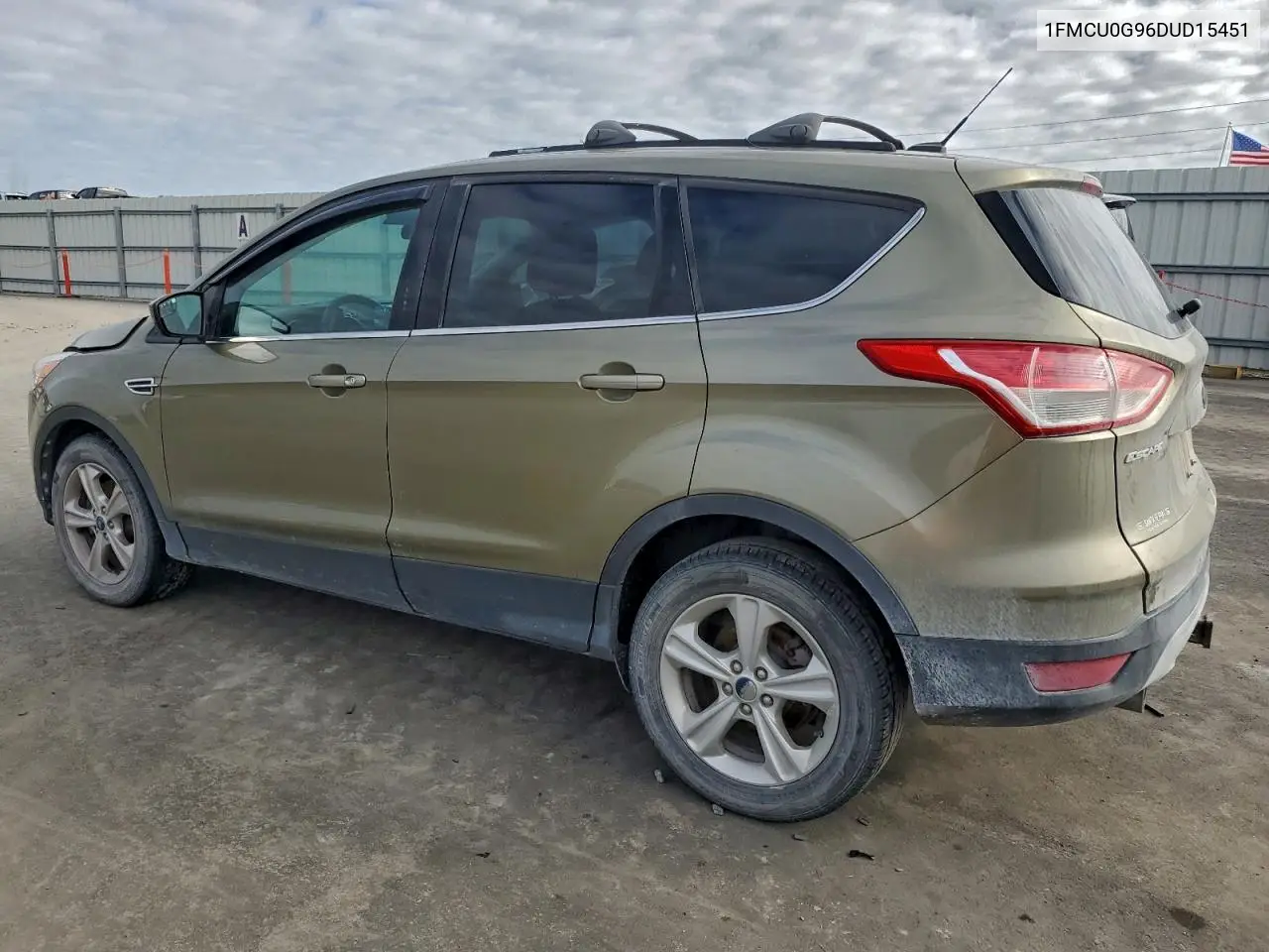 1FMCU0G96DUD15451 2013 Ford Escape Se