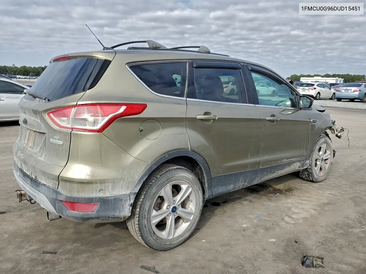 1FMCU0G96DUD15451 2013 Ford Escape Se