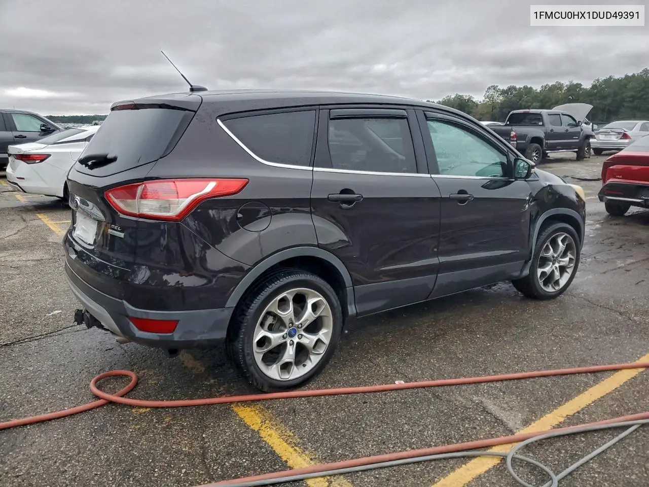 1FMCU0HX1DUD49391 2013 Ford Escape Sel