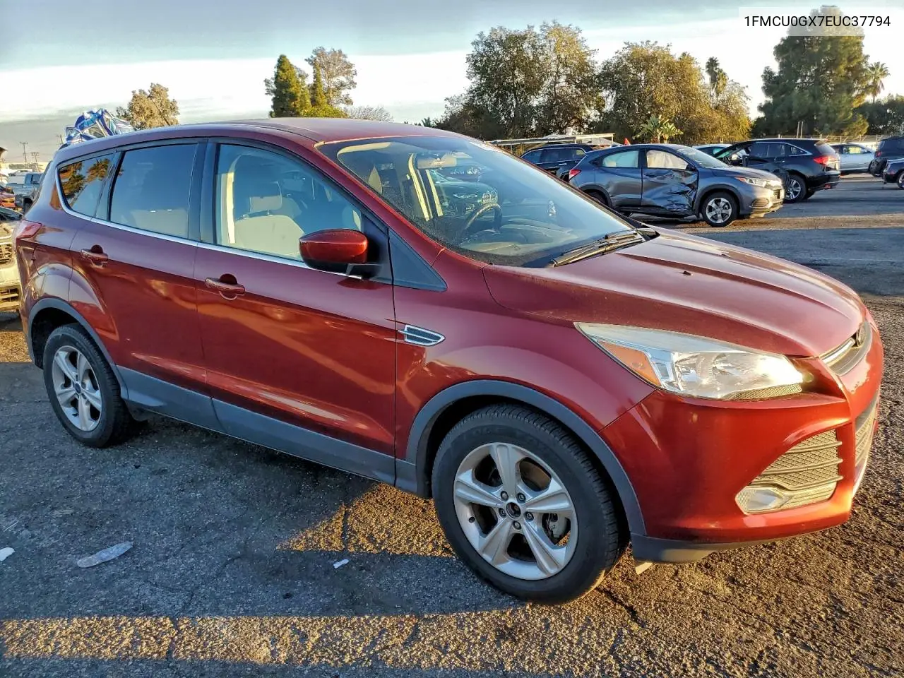 1FMCU0GX7EUC37794 2014 Ford Escape Se