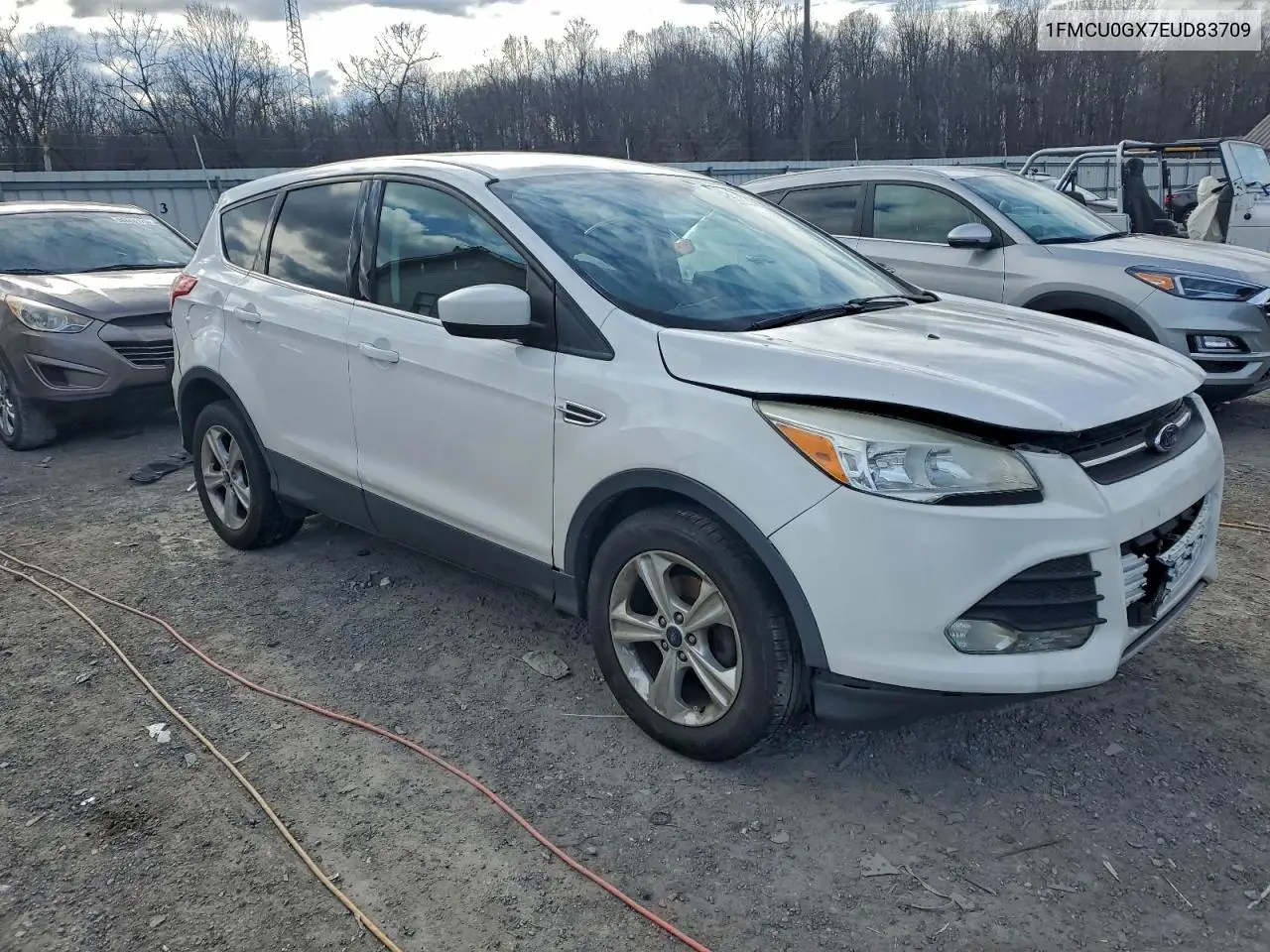 1FMCU0GX7EUD83709 2014 Ford Escape Se