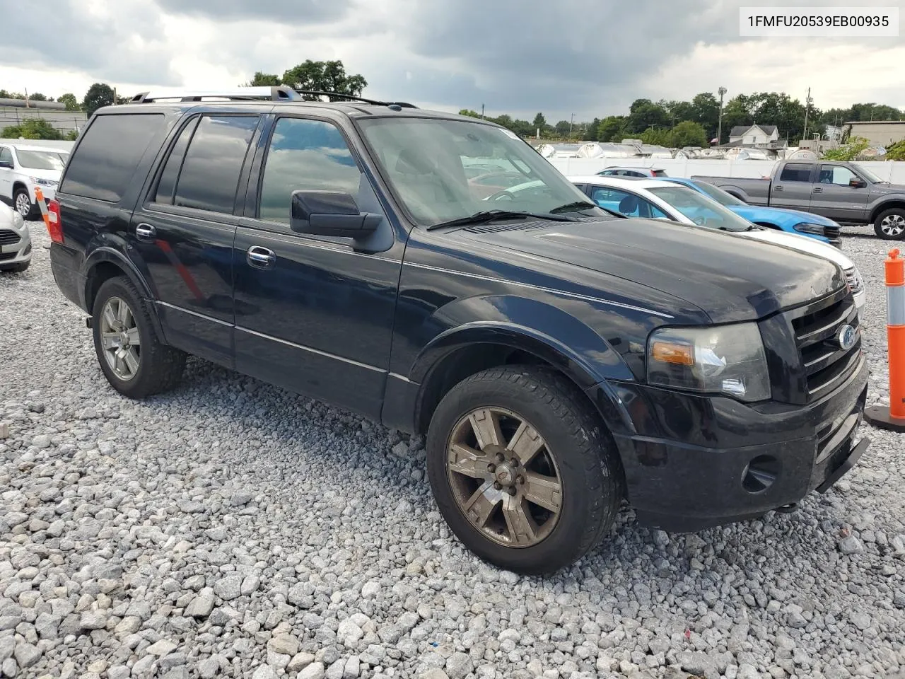 2009 Ford Expedition Limited VIN: 1FMFU20539EB00935 Lot: 69094184