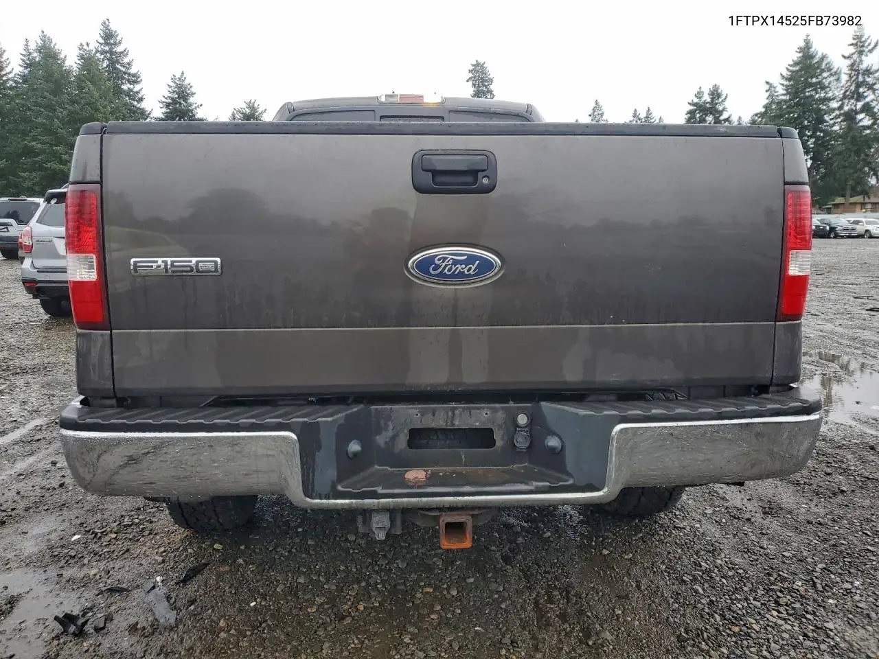 1FTPX14525FB73982 2005 Ford F150