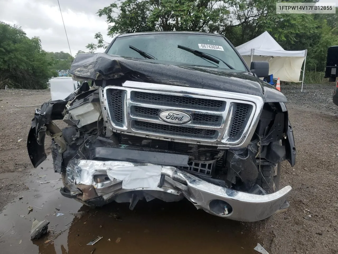 2007 Ford F150 Supercrew VIN: 1FTPW14V17FB12855 Lot: 66743034