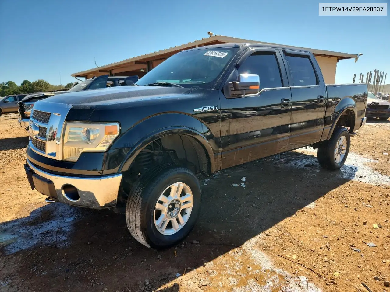 1FTPW14V29FA28837 2009 Ford F150 Supercrew