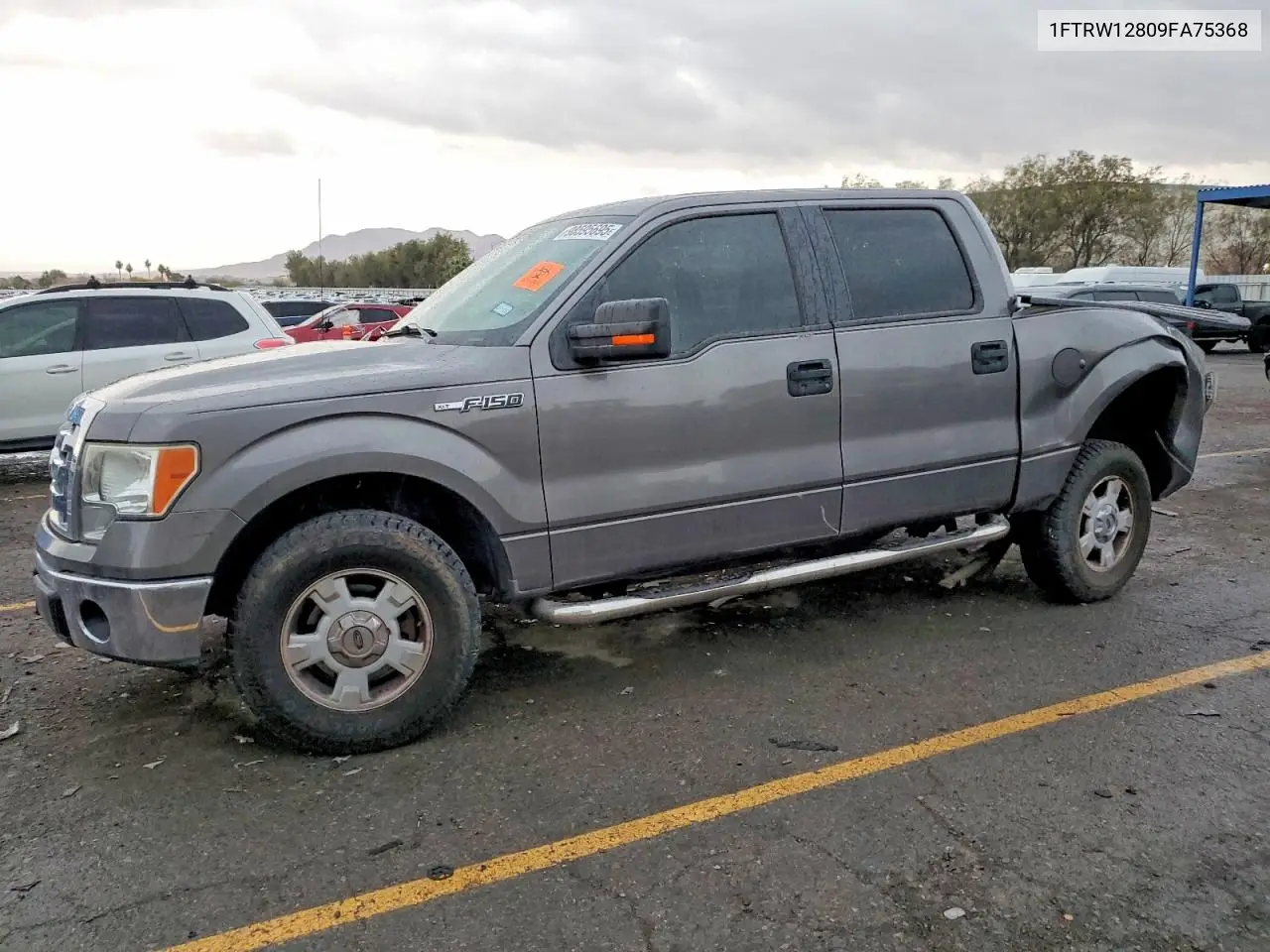 1FTRW12809FA75368 2009 Ford F150 Supercrew