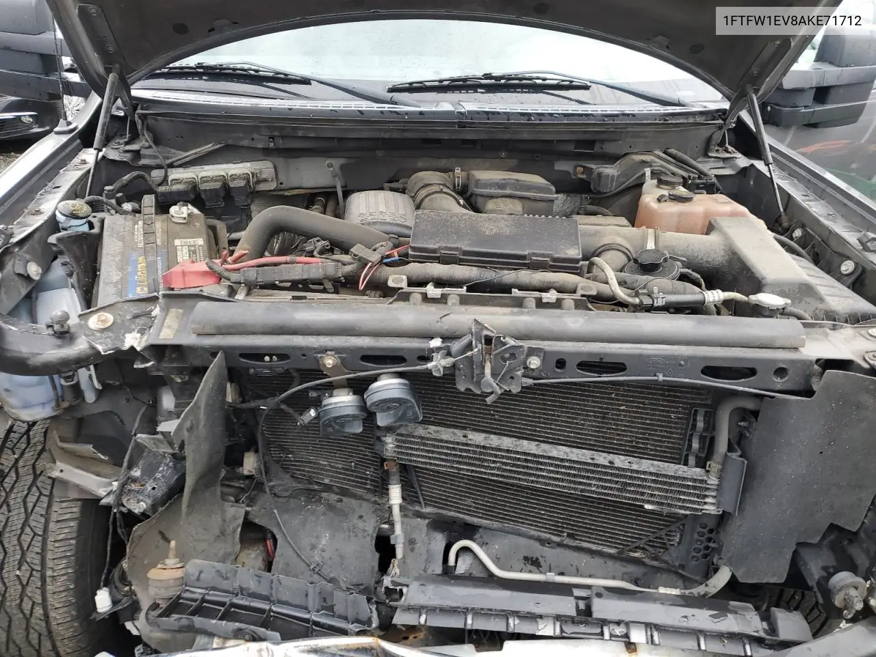 1FTFW1EV8AKE71712 2010 Ford F150 Supercrew