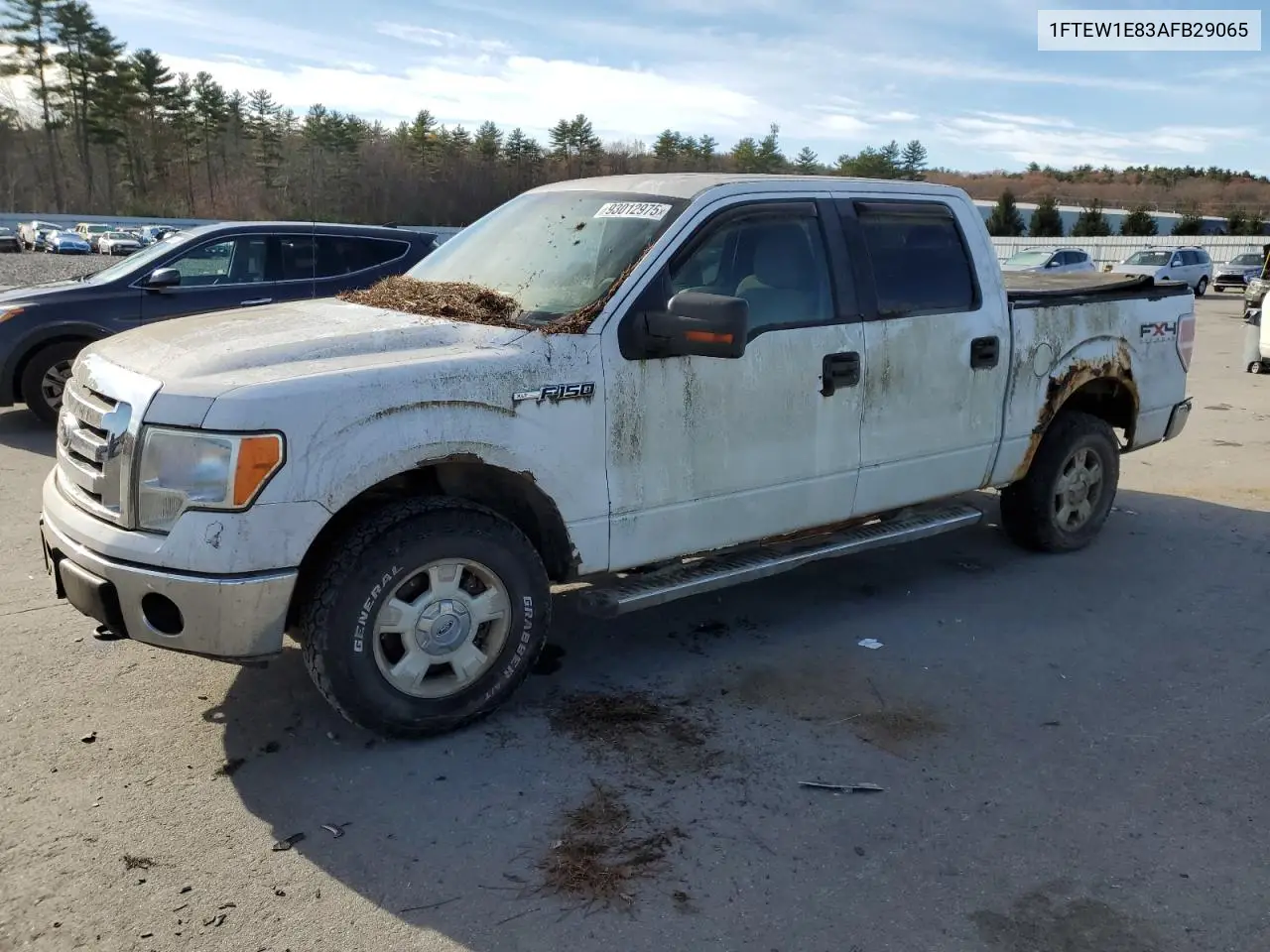 1FTEW1E83AFB29065 2010 Ford F150 Supercrew