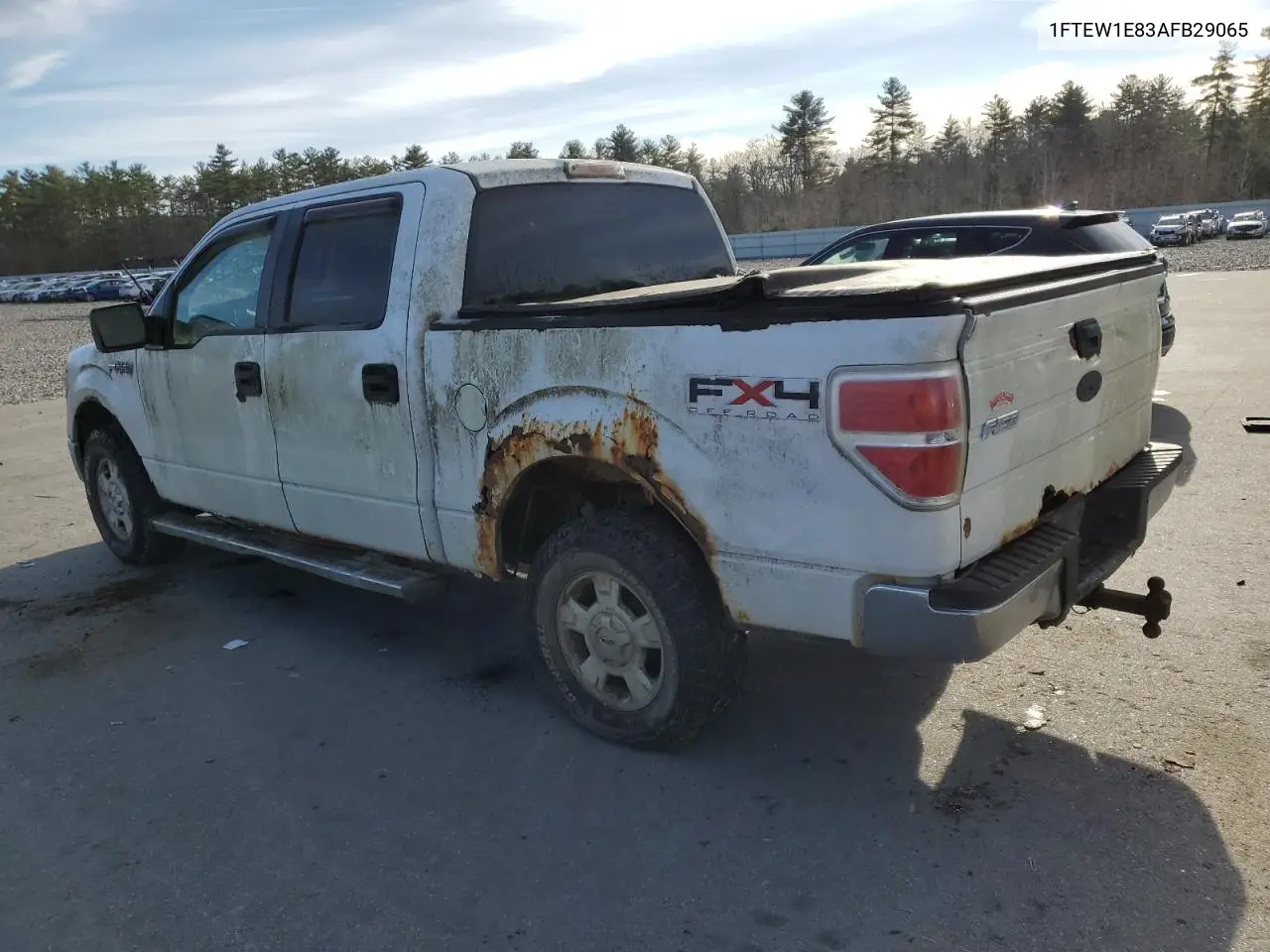 1FTEW1E83AFB29065 2010 Ford F150 Supercrew