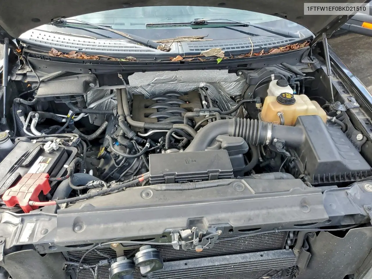 1FTFW1EF0BKD21510 2011 Ford F150 Supercrew