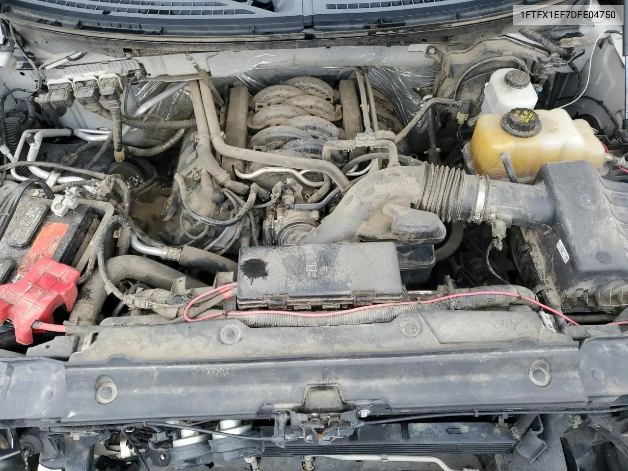 1FTFX1EF7DFE04750 2013 Ford F150 Super Cab