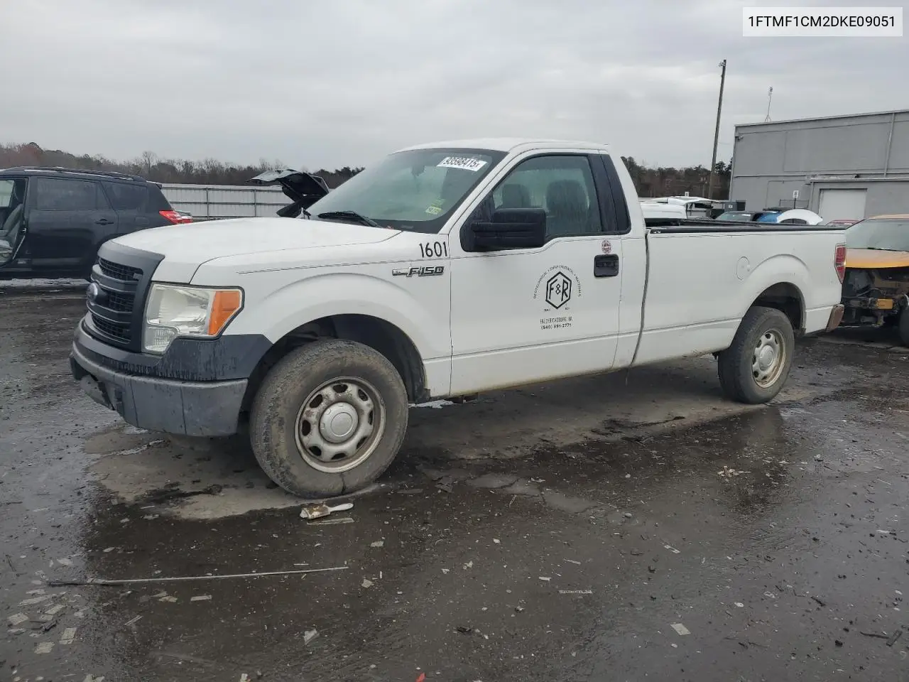 1FTMF1CM2DKE09051 2013 Ford F150