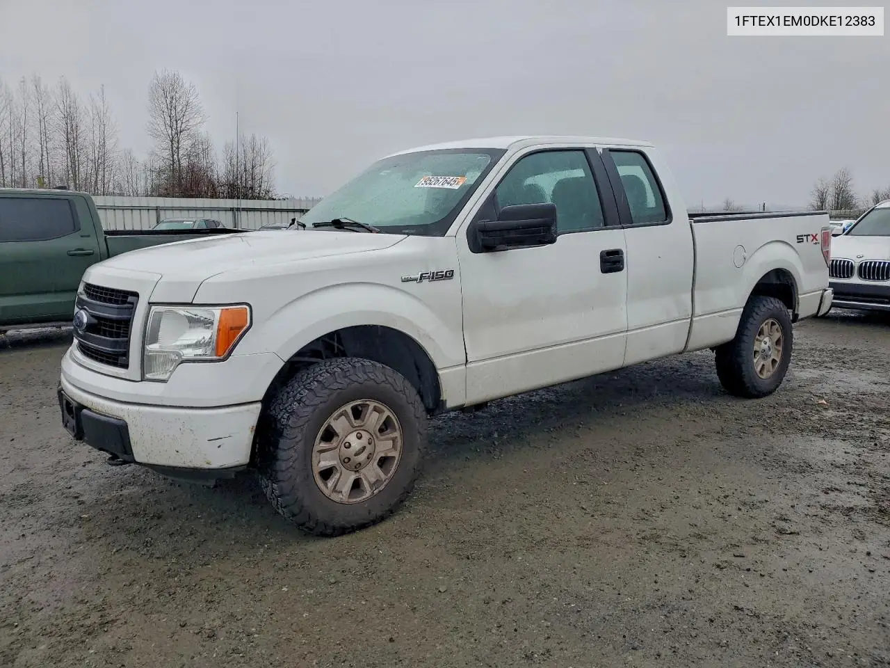 1FTEX1EM0DKE12383 2013 Ford F150 Super Cab