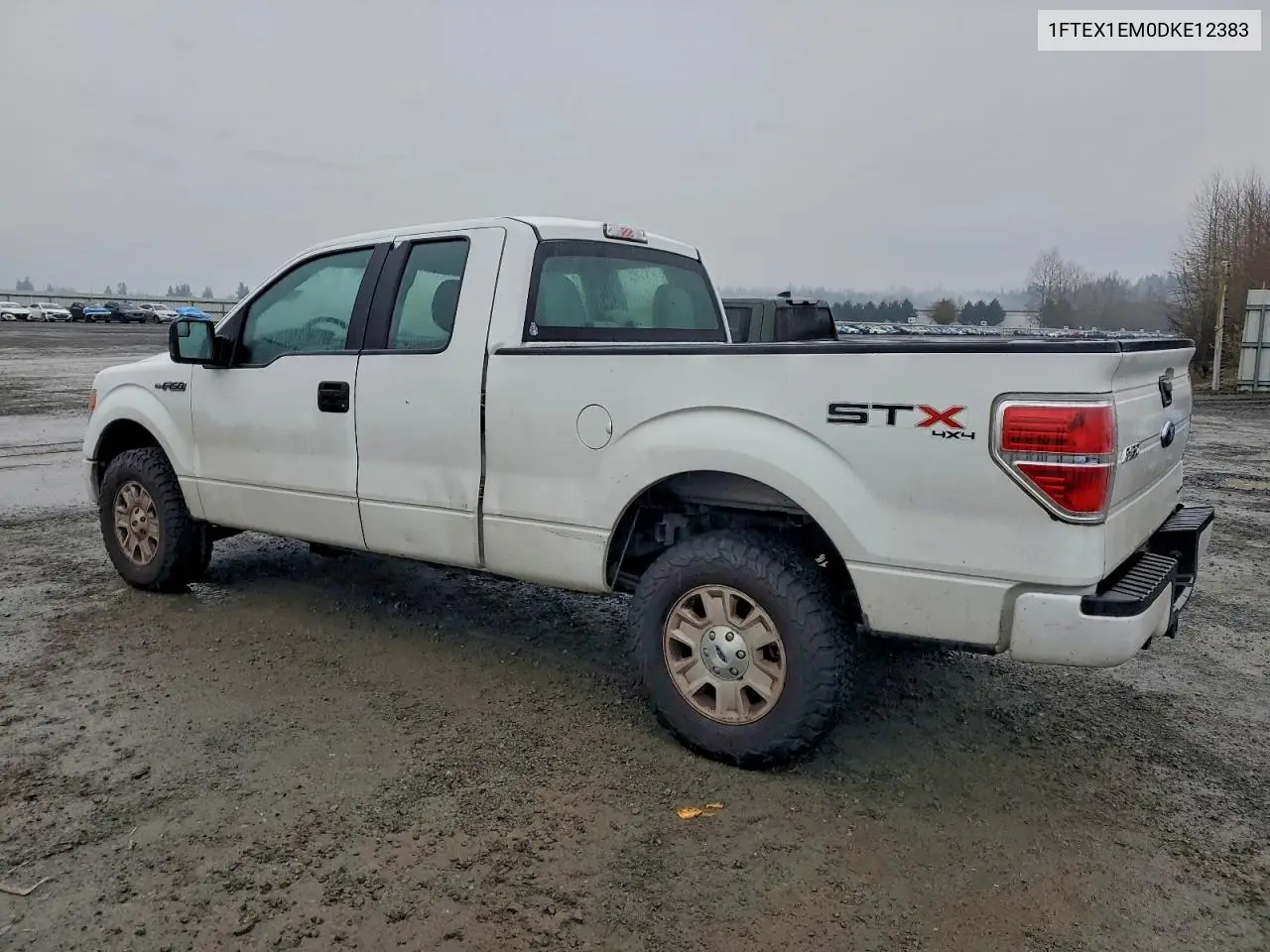 1FTEX1EM0DKE12383 2013 Ford F150 Super Cab