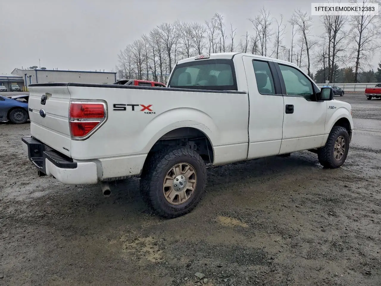 1FTEX1EM0DKE12383 2013 Ford F150 Super Cab