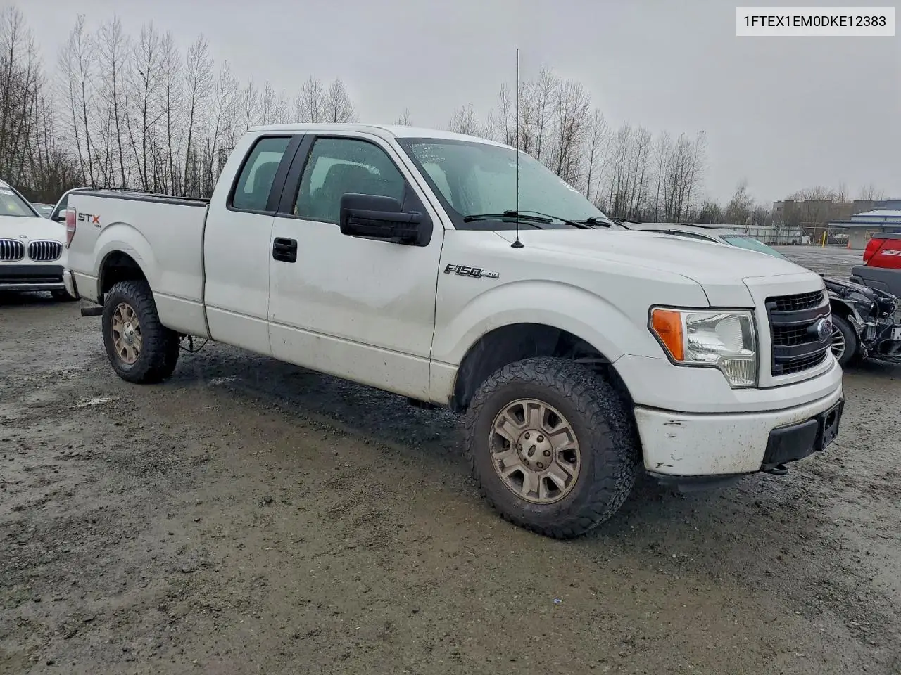 1FTEX1EM0DKE12383 2013 Ford F150 Super Cab