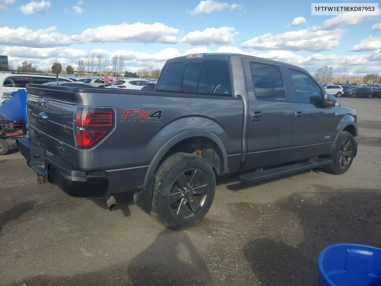 1FTFW1ET9EKD87953 2014 Ford F150 Supercrew