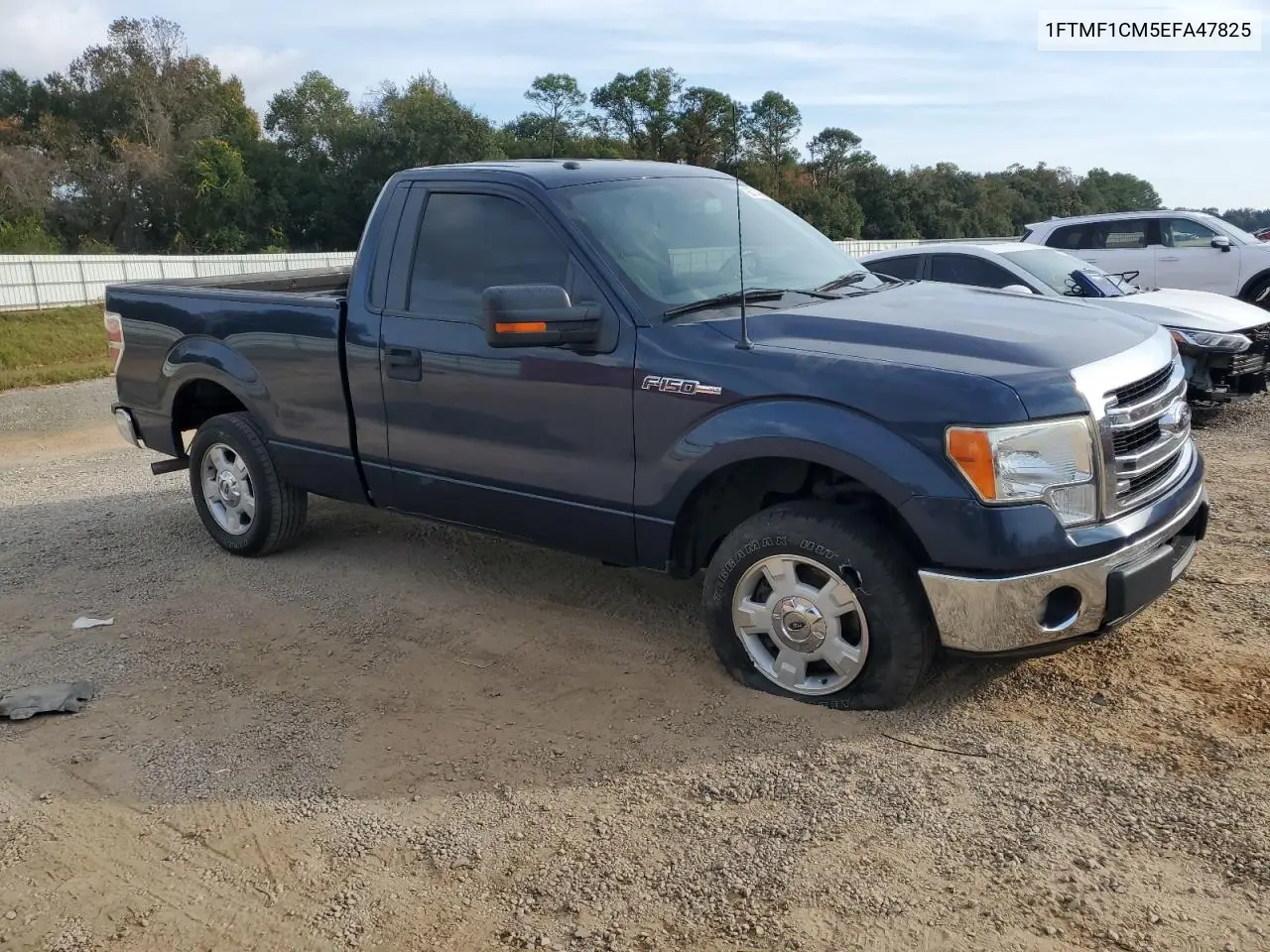 1FTMF1CM5EFA47825 2014 Ford F150