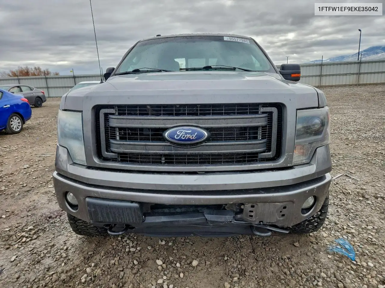 1FTFW1EF9EKE35042 2014 Ford F150 Supercrew