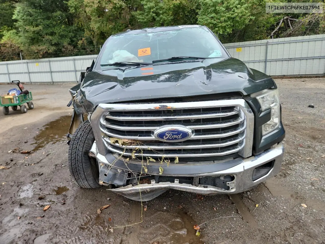 1FTEW1CP6FKE07594 2015 Ford F150 Supercrew