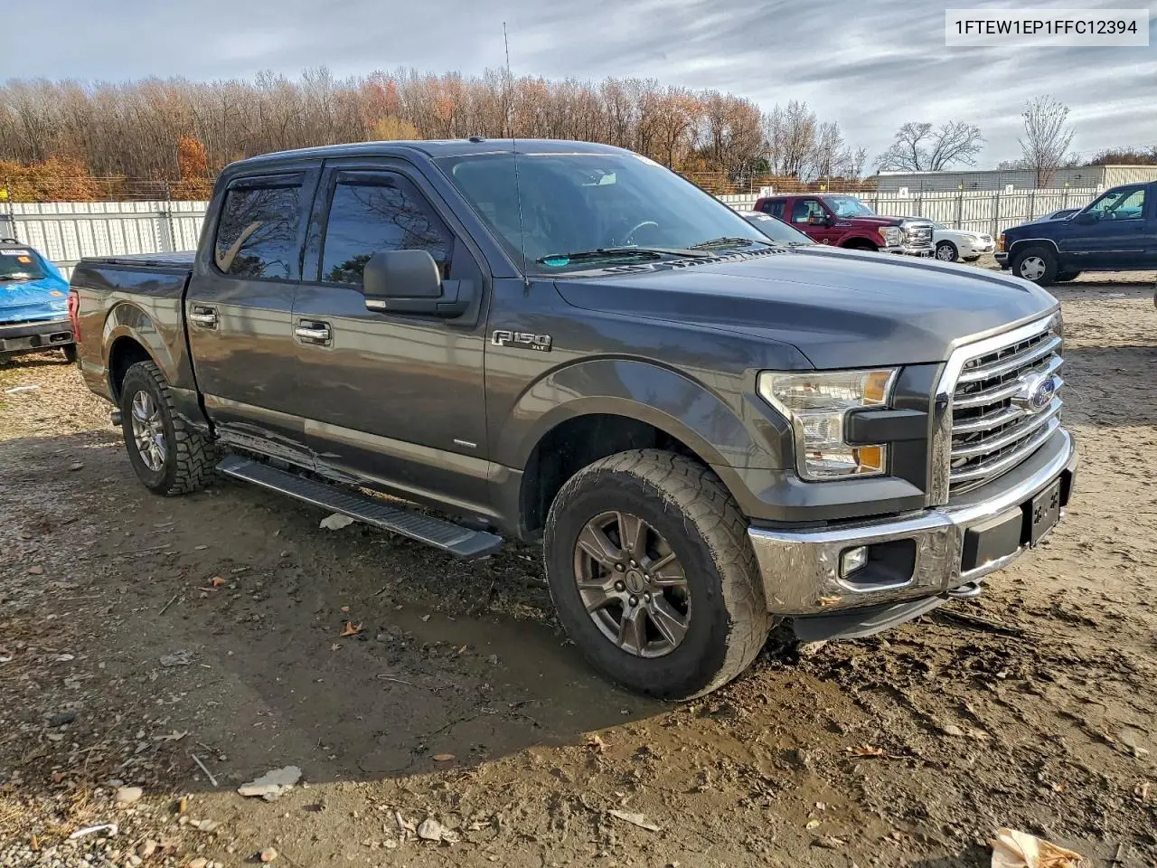 1FTEW1EP1FFC12394 2015 Ford F150 Supercrew