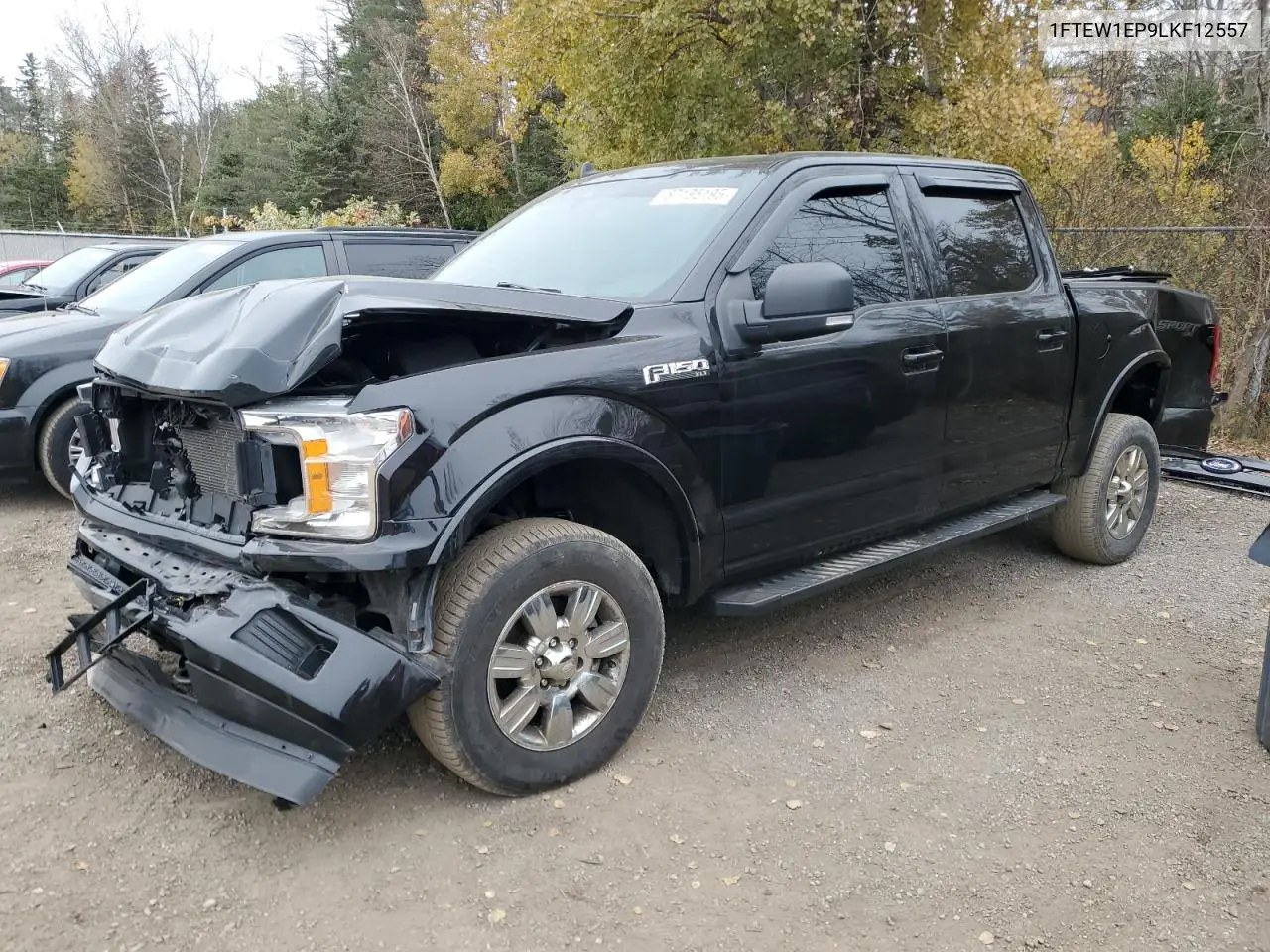 1FTEW1EP9LKF12557 2020 Ford F150 Supercrew