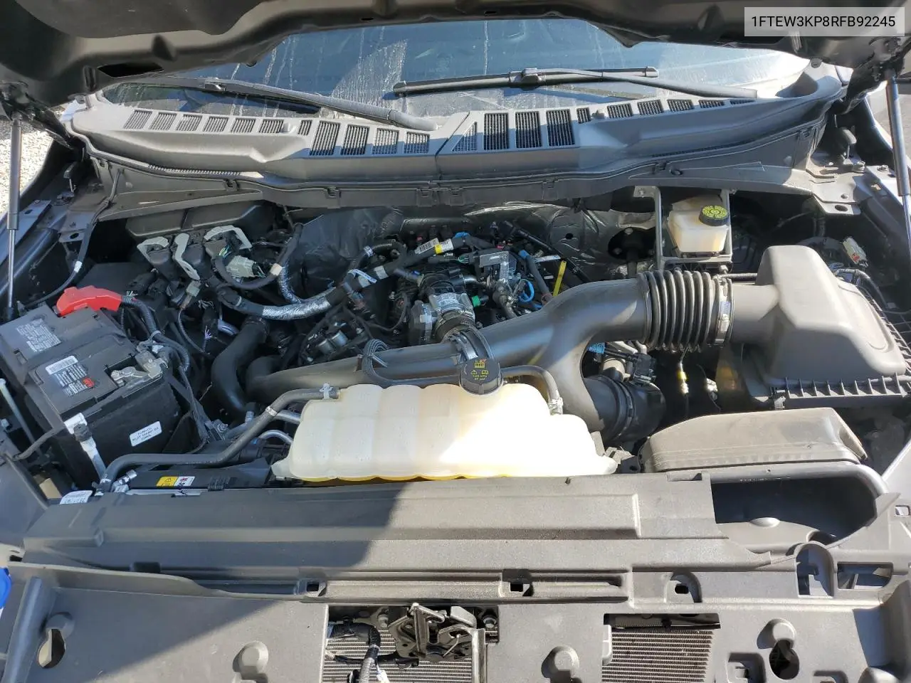 1FTEW3KP8RFB92245 2024 Ford F150 Xlt