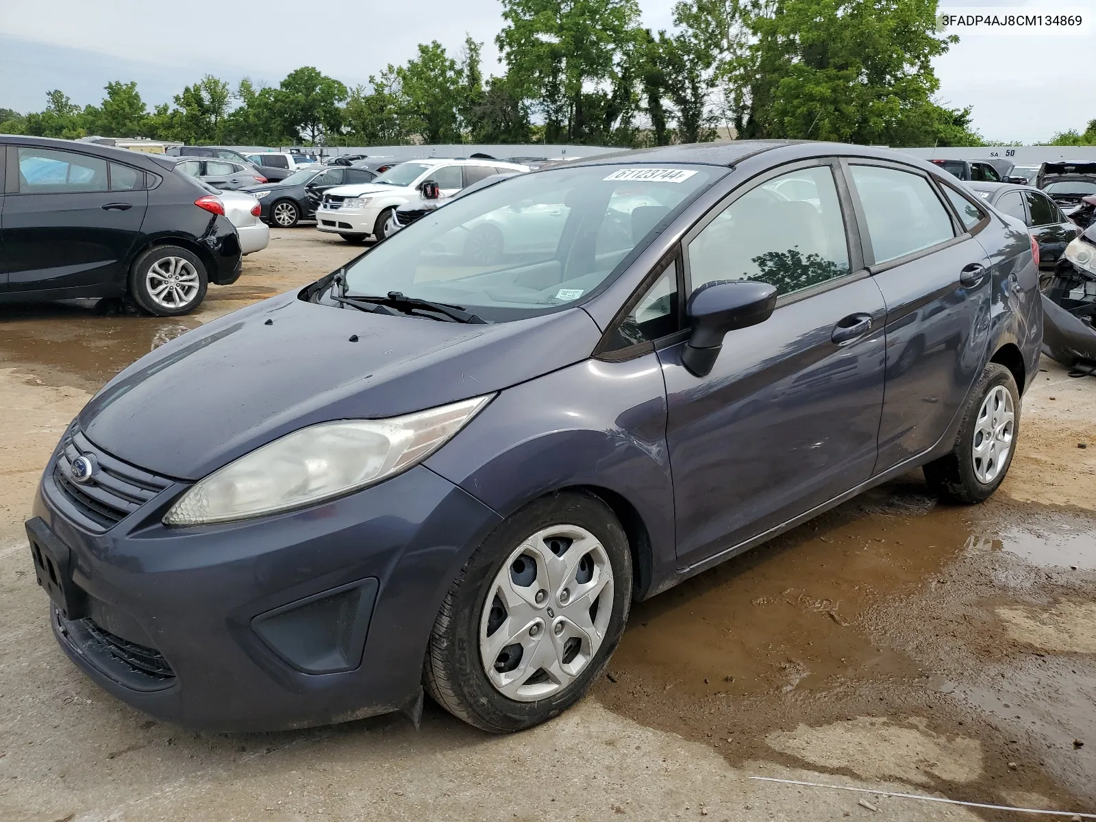 2012 Ford Fiesta S VIN: 3FADP4AJ8CM134869 Lot: 61123744