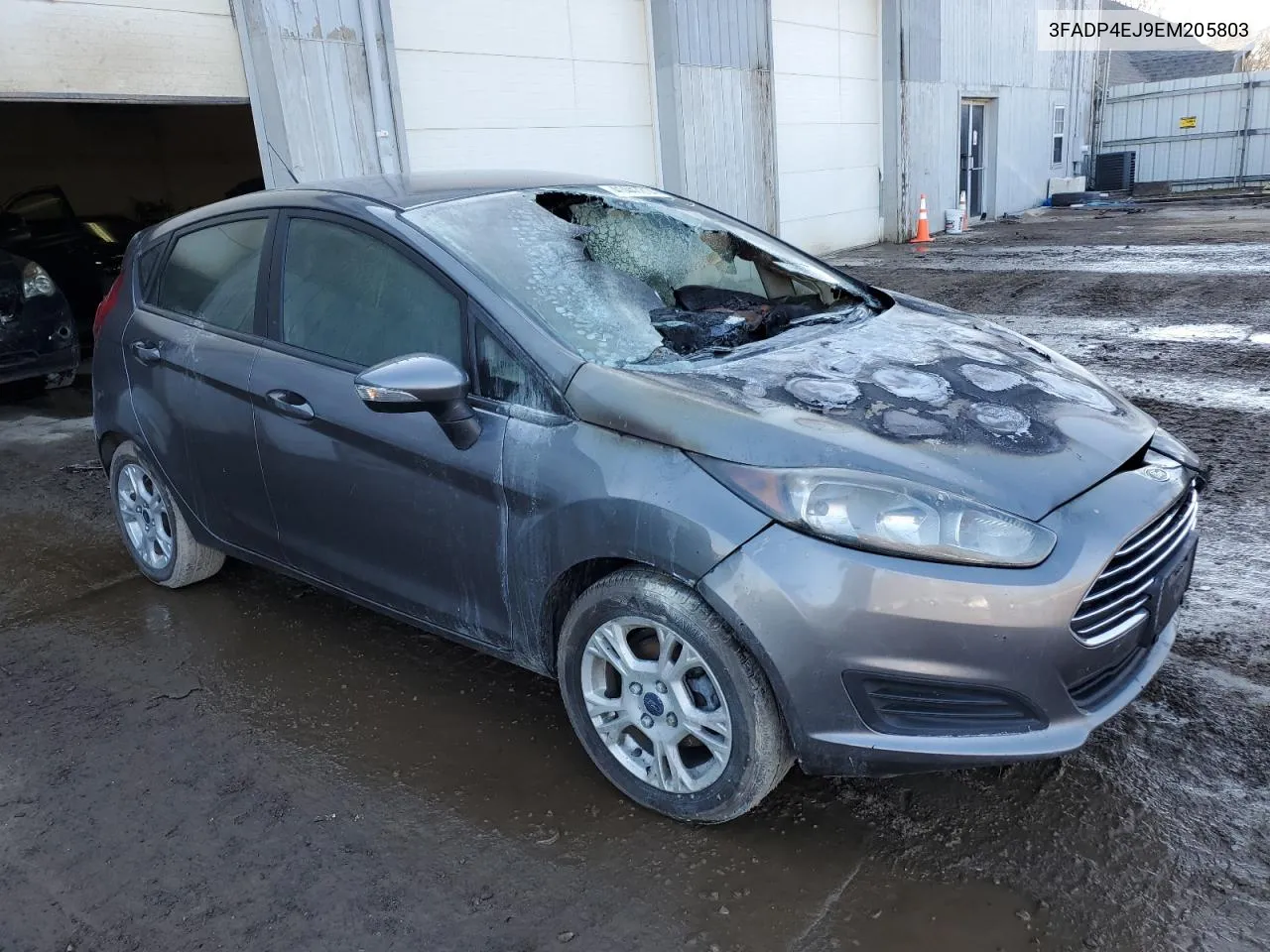 3FADP4EJ9EM205803 2014 Ford Fiesta Se