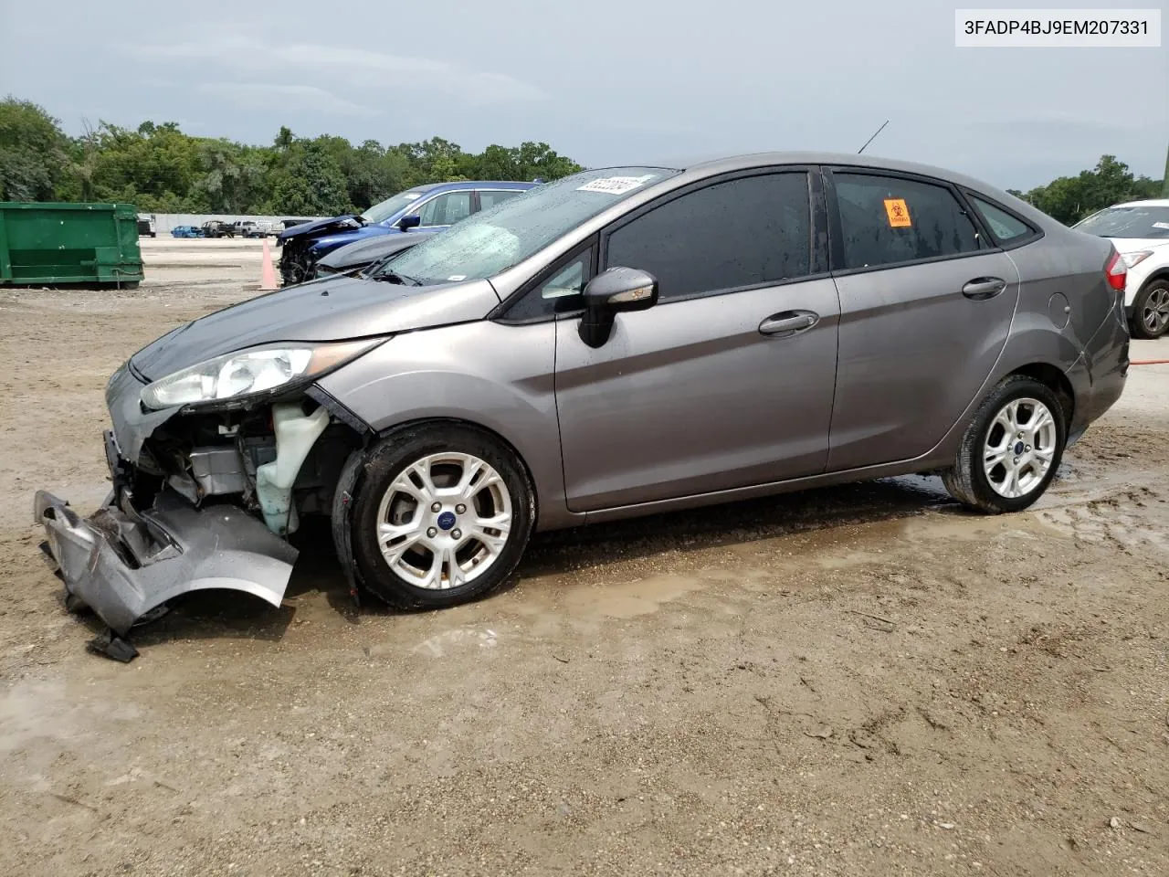 2014 Ford Fiesta Se VIN: 3FADP4BJ9EM207331 Lot: 55222034