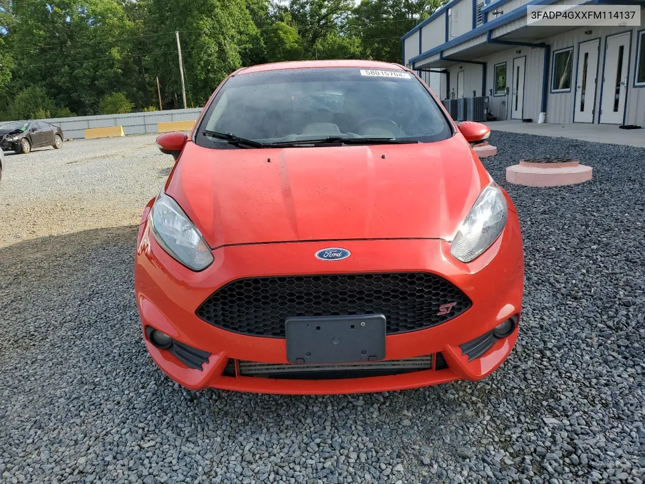 2015 Ford Fiesta St VIN: 3FADP4GXXFM114137 Lot: 58015704