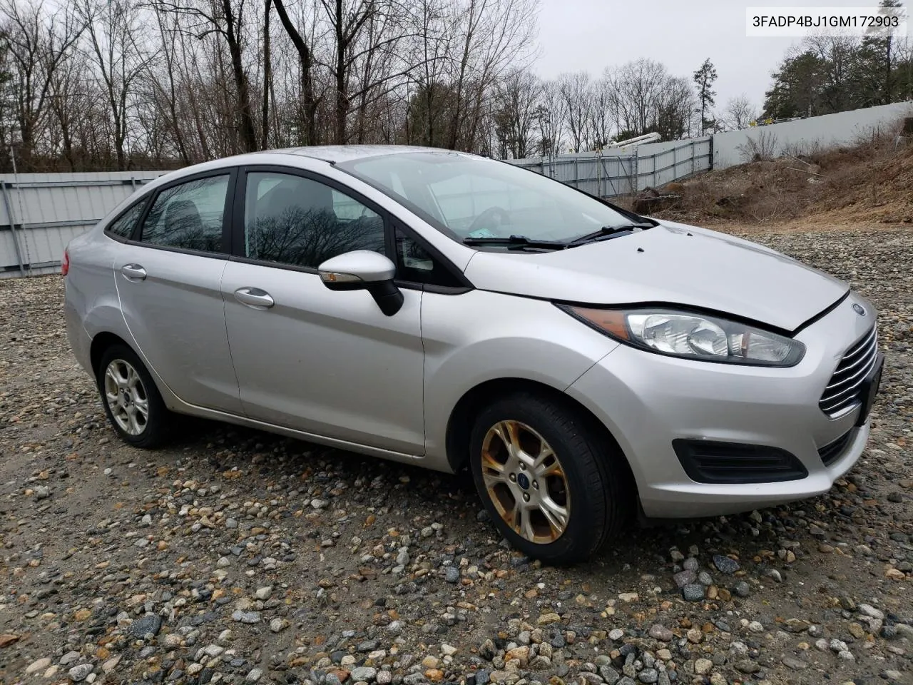 2016 Ford Fiesta Se VIN: 3FADP4BJ1GM172903 Lot: 45374144