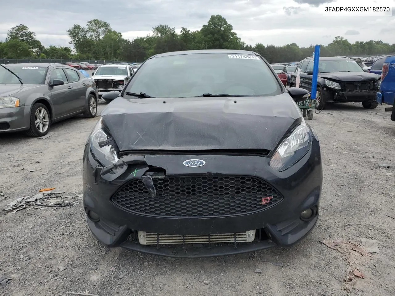 2016 Ford Fiesta St VIN: 3FADP4GXXGM182570 Lot: 54174804